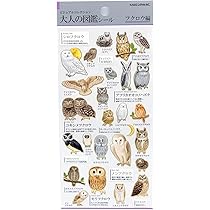 Amazon.co.jp: Kamio Japan Seal, Adult Encyclopedia Seal